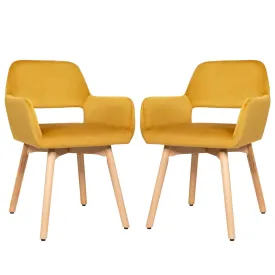 2 Pieces Retro Styled Velvet Chairs