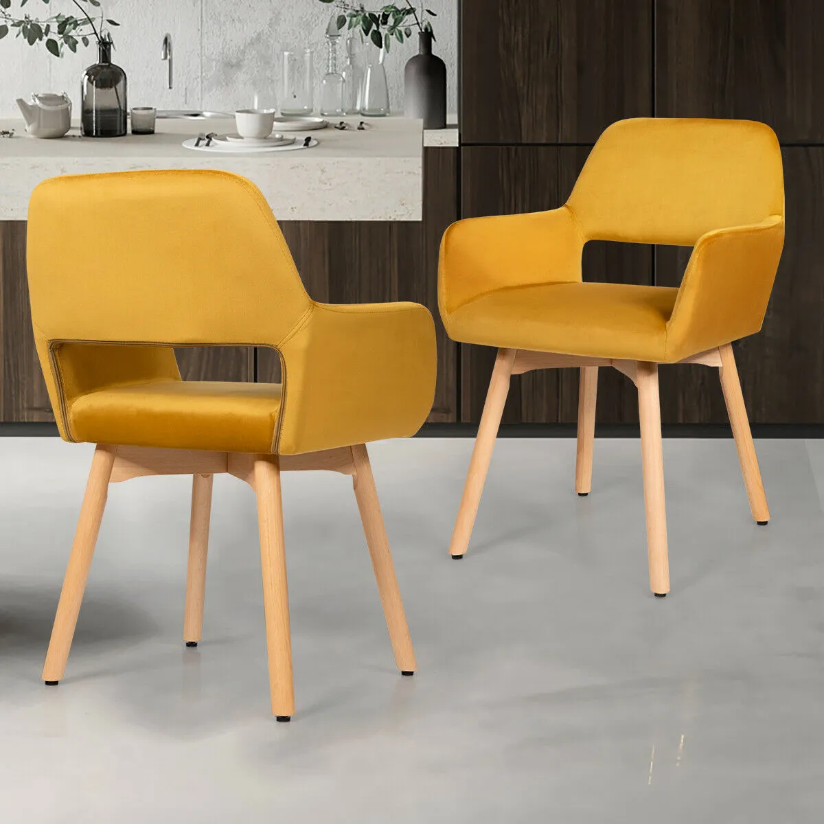 2 Pieces Retro Styled Velvet Chairs