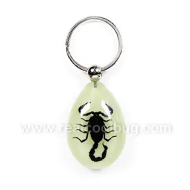 YK608<br />Black Scorpion<br />